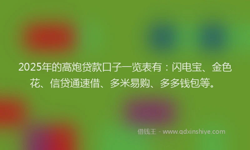 2025年的高炮贷款口子一览表有：闪电宝、金色花、信贷通速借、多米易购、多多钱包等。