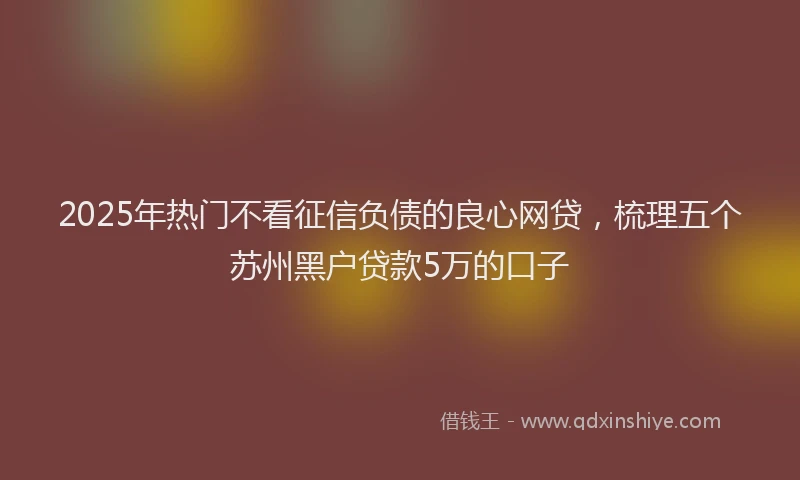 2025年热门不看征信负债的良心网贷，梳理五个苏州黑户贷款5万的口子