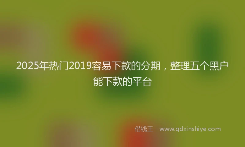 2025年热门2019容易下款的分期，整理五个黑户能下款的平台