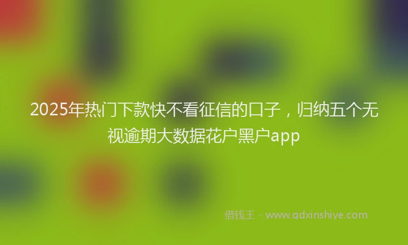 2025年热门下款快不看征信的口子，归纳五个无视逾期大数据花户黑户app