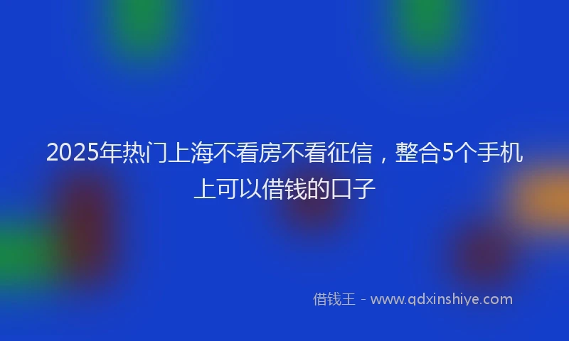 2025年热门上海不看房不看征信，整合5个手机上可以借钱的口子