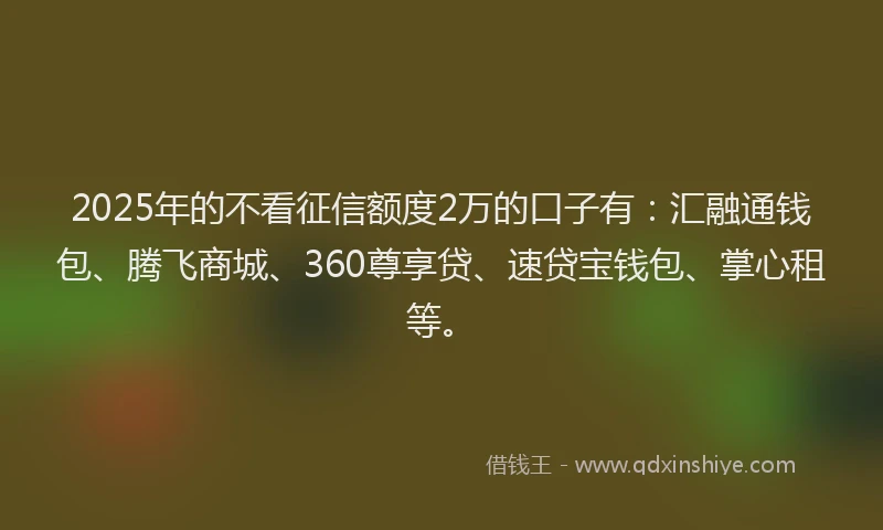 2025年的不看征信额度2万的口子有：汇融通钱包、腾飞商城、360尊享贷、速贷宝钱包、掌心租等。
