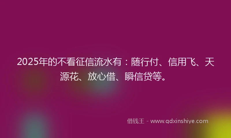 2025年的不看征信流水有：随行付、信用飞、天源花、放心借、瞬信贷等。