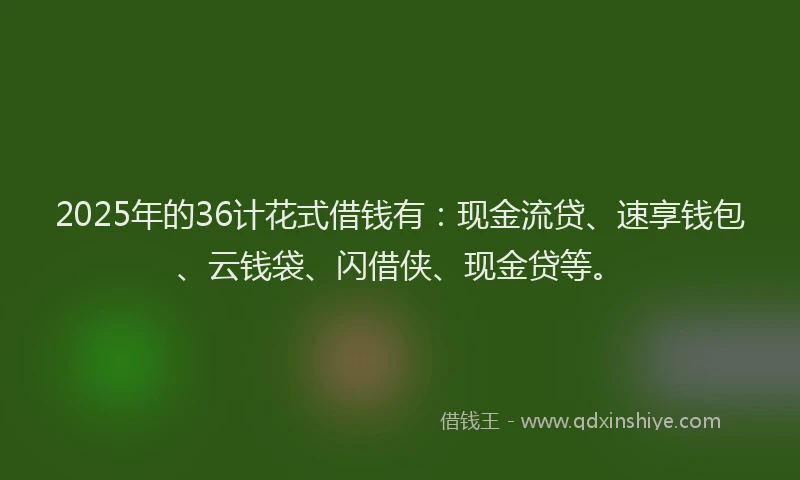 2025年的36计花式借钱有：现金流贷、速享钱包、云钱袋、闪借侠、现金贷等。