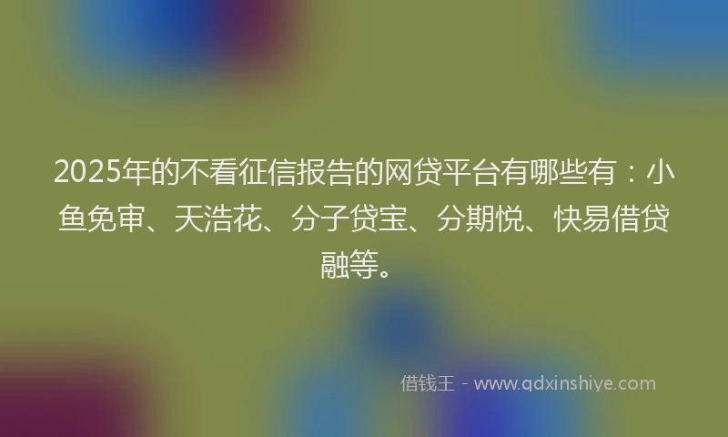 2025年的不看征信报告的网贷平台有哪些有：小鱼免审、天浩花、分子贷宝、分期悦、快易借贷融等。