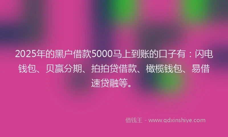 2025年的黑户借款5000马上到账的口子有：闪电钱包、贝赢分期、拍拍贷借款、橄榄钱包、易借速贷融等。