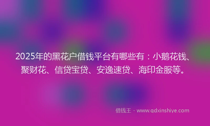 2025年的黑花户借钱平台有哪些有：小鹅花钱、聚财花、信贷宝贷、安逸速贷、海印金服等。