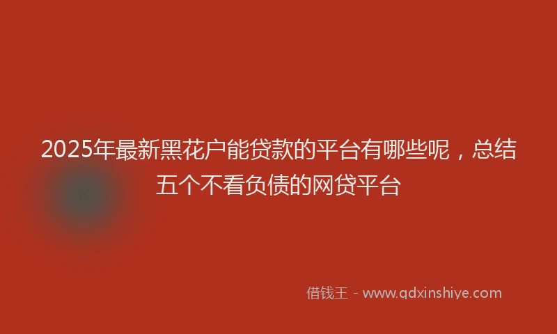 2025年最新黑花户能贷款的平台有哪些呢，总结五个不看负债的网贷平台
