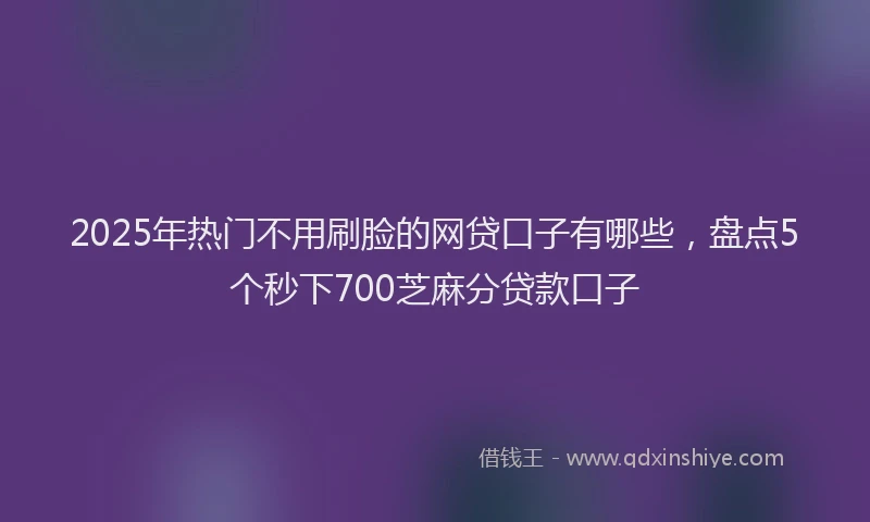 2025年热门不用刷脸的网贷口子有哪些，盘点5个秒下700芝麻分贷款口子