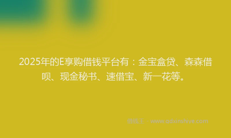 2025年的E享购借钱平台有：金宝盒贷、森森借呗、现金秘书、速借宝、新一花等。