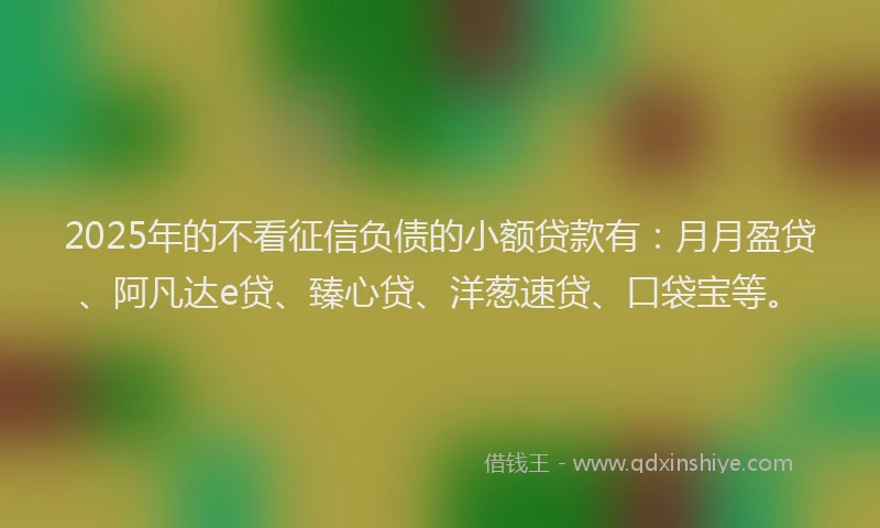 2025年的不看征信负债的小额贷款有：月月盈贷、阿凡达e贷、臻心贷、洋葱速贷、口袋宝等。