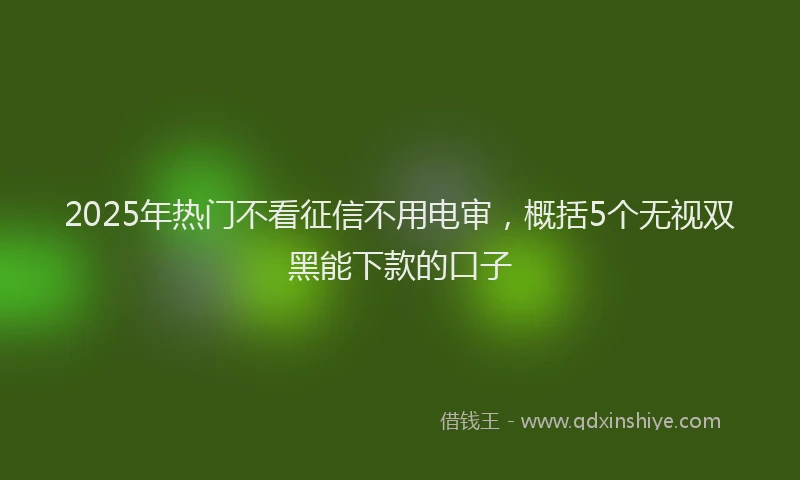 2025年热门不看征信不用电审，概括5个无视双黑能下款的口子