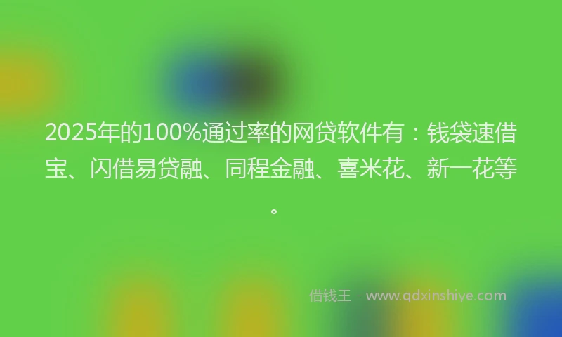 2025年的100%通过率的网贷软件有：钱袋速借宝、闪借易贷融、同程金融、喜米花、新一花等。