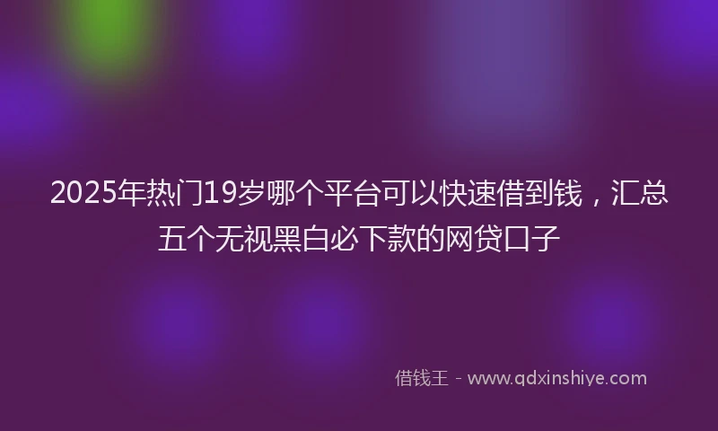 2025年热门19岁哪个平台可以快速借到钱，汇总五个无视黑白必下款的网贷口子