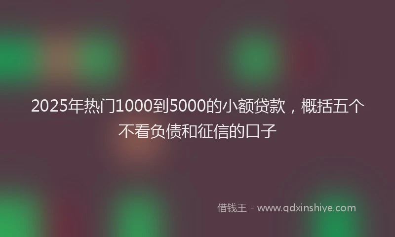 2025年热门1000到5000的小额贷款，概括五个不看负债和征信的口子