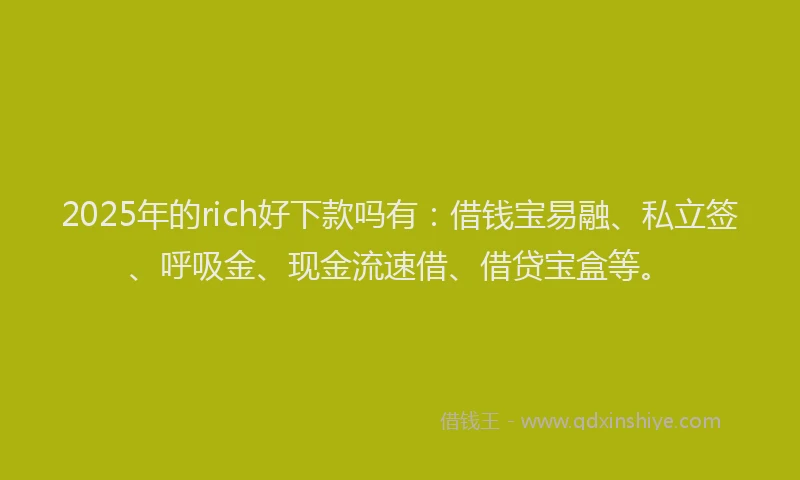 2025年的rich好下款吗有：借钱宝易融、私立签、呼吸金、现金流速借、借贷宝盒等。