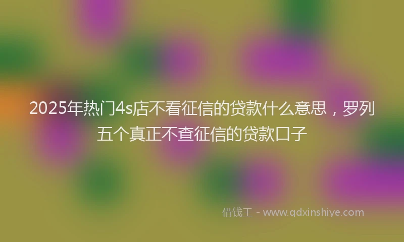 2025年热门4s店不看征信的贷款什么意思，罗列五个真正不查征信的贷款口子