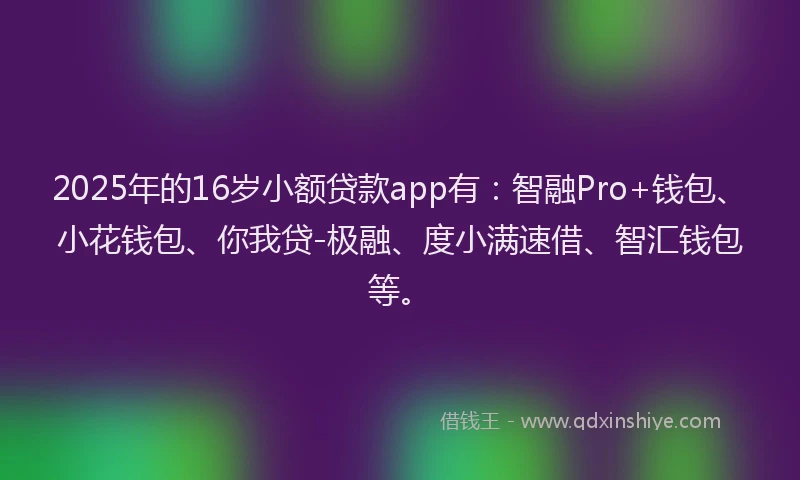 2025年的16岁小额贷款app有：智融Pro+钱包、小花钱包、你我贷-极融、度小满速借、智汇钱包等。