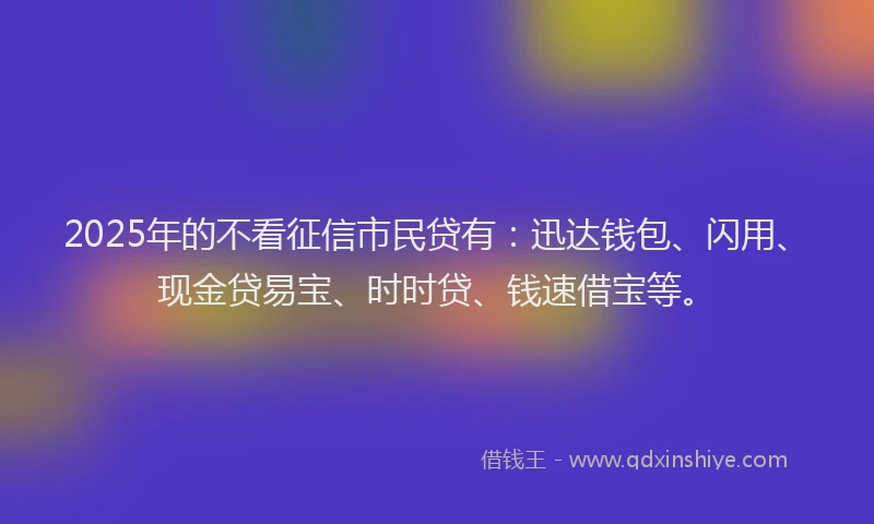 2025年的不看征信市民贷有：迅达钱包、闪用、现金贷易宝、时时贷、钱速借宝等。