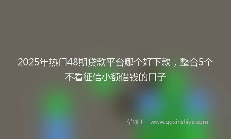 2025年热门48期贷款平台哪个好下款，整合5个不看征信小额借钱的口子