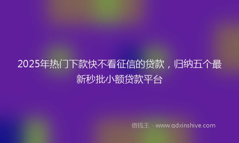 2025年热门下款快不看征信的贷款，归纳五个最新秒批小额贷款平台