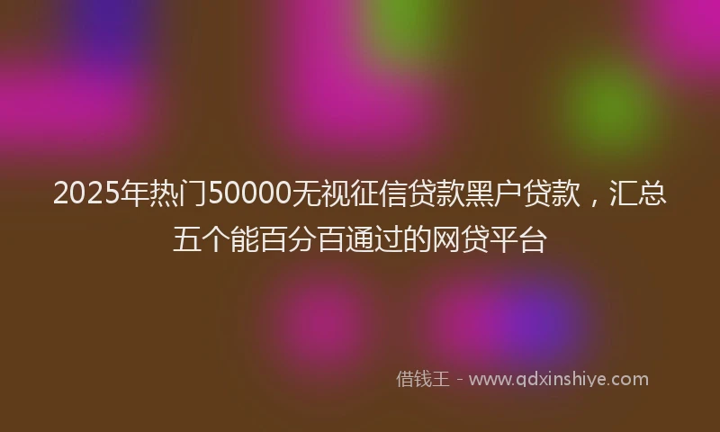 2025年热门50000无视征信贷款黑户贷款，汇总五个能百分百通过的网贷平台