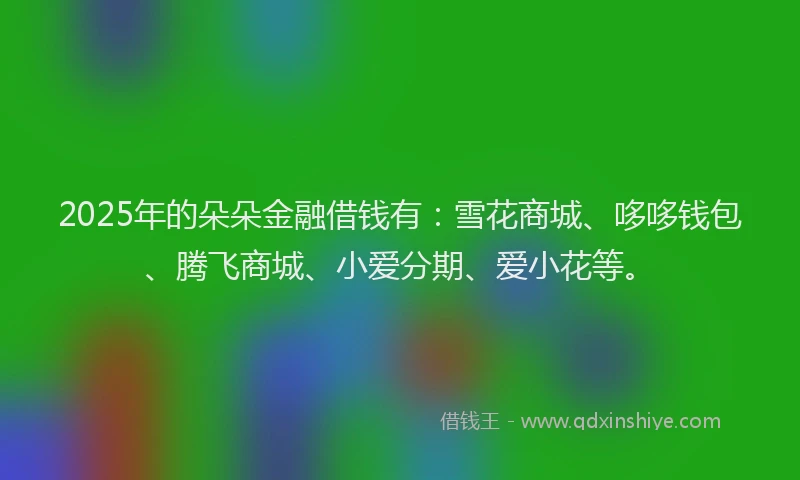 2025年的朵朵金融借钱有：雪花商城、哆哆钱包、腾飞商城、小爱分期、爱小花等。