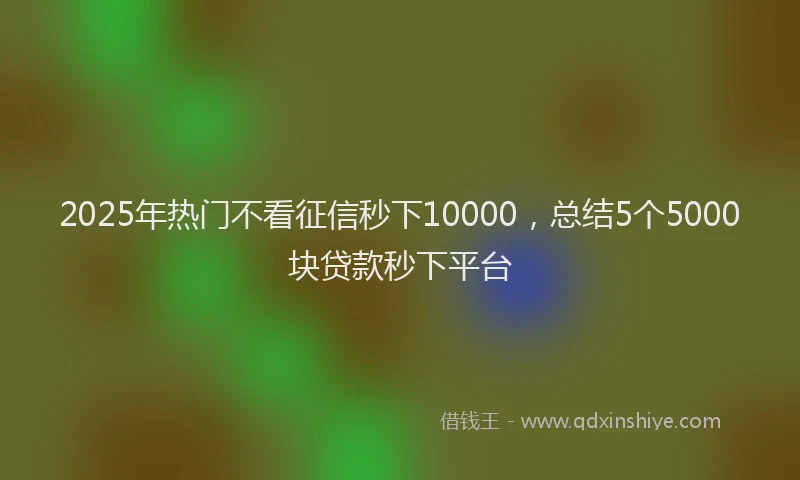 2025年热门不看征信秒下10000，总结5个5000块贷款秒下平台