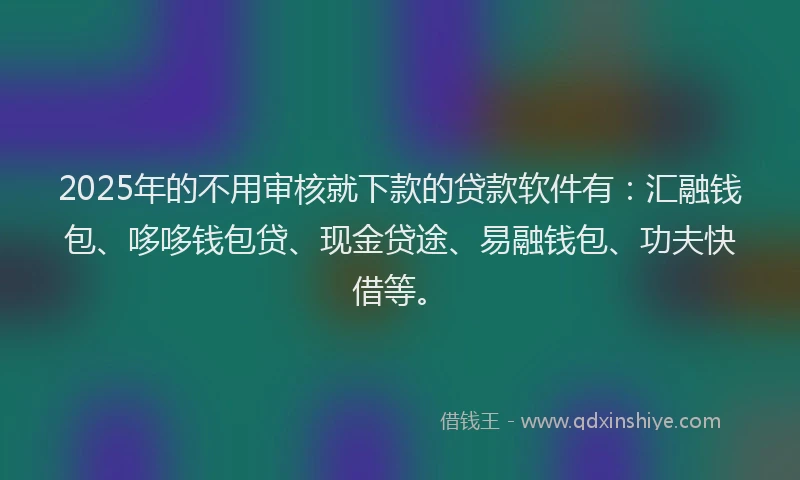2025年的不用审核就下款的贷款软件有：汇融钱包、哆哆钱包贷、现金贷途、易融钱包、功夫快借等。