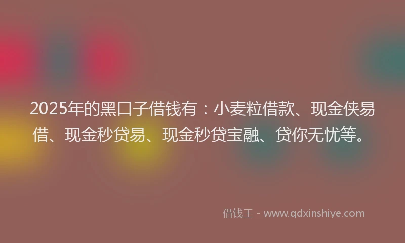 2025年的黑口子借钱有：小麦粒借款、现金侠易借、现金秒贷易、现金秒贷宝融、贷你无忧等。
