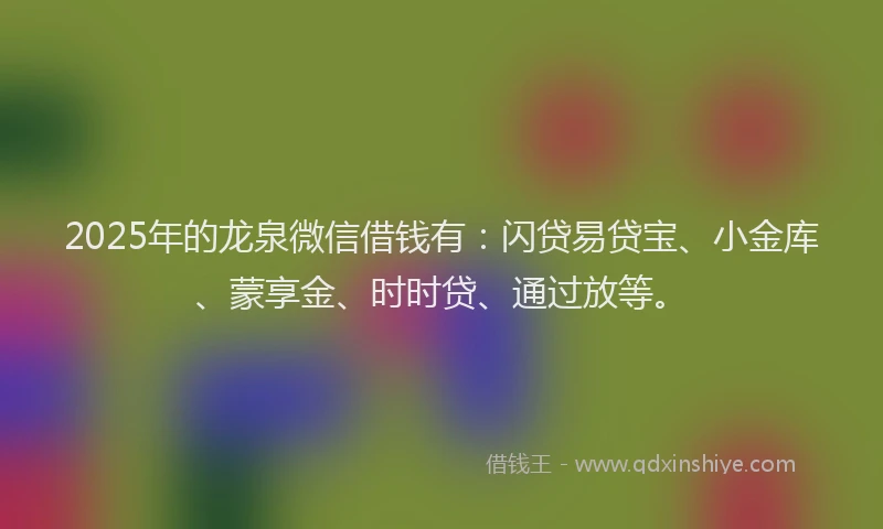 2025年的龙泉微信借钱有：闪贷易贷宝、小金库、蒙享金、时时贷、通过放等。