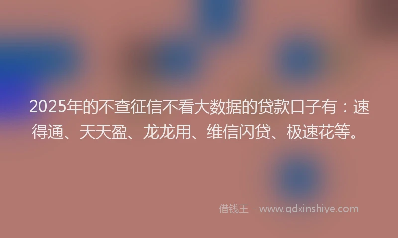2025年的不查征信不看大数据的贷款口子有：速得通、天天盈、龙龙用、维信闪贷、极速花等。