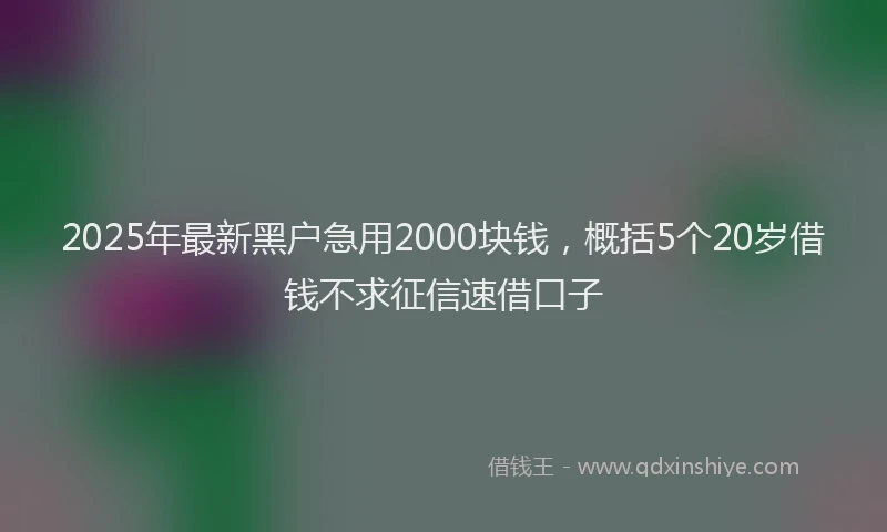 2025年最新黑户急用2000块钱，概括5个20岁借钱不求征信速借口子