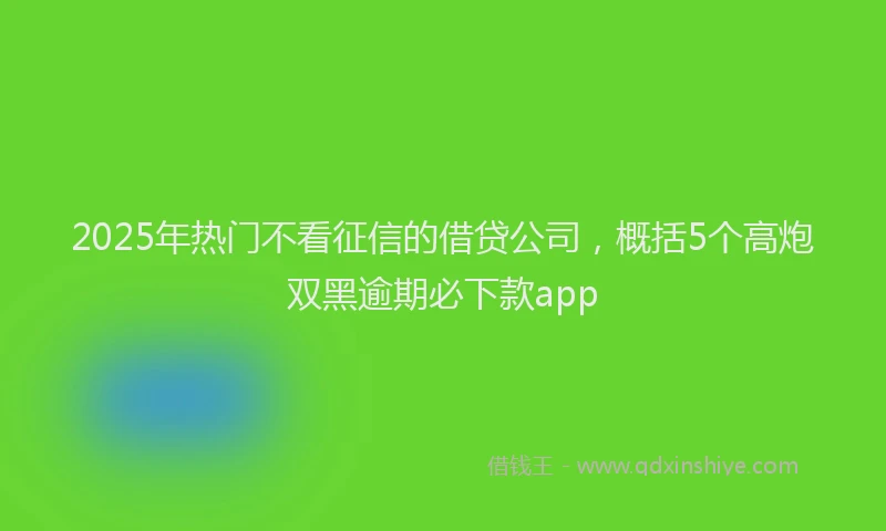 2025年热门不看征信的借贷公司，概括5个高炮双黑逾期必下款app