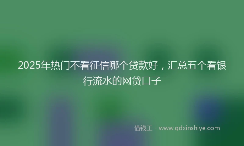 2025年热门不看征信哪个贷款好，汇总五个看银行流水的网贷口子