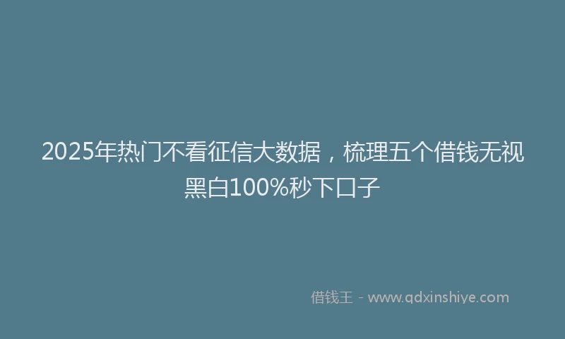 2025年热门不看征信大数据，梳理五个借钱无视黑白100%秒下口子