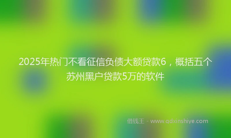 2025年热门不看征信负债大额贷款6，概括五个苏州黑户贷款5万的软件