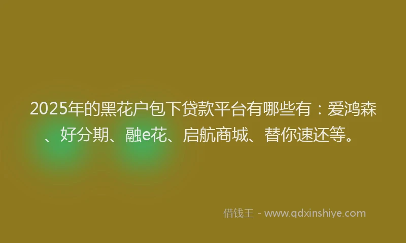 2025年的黑花户包下贷款平台有哪些有：爱鸿森、好分期、融e花、启航商城、替你速还等。