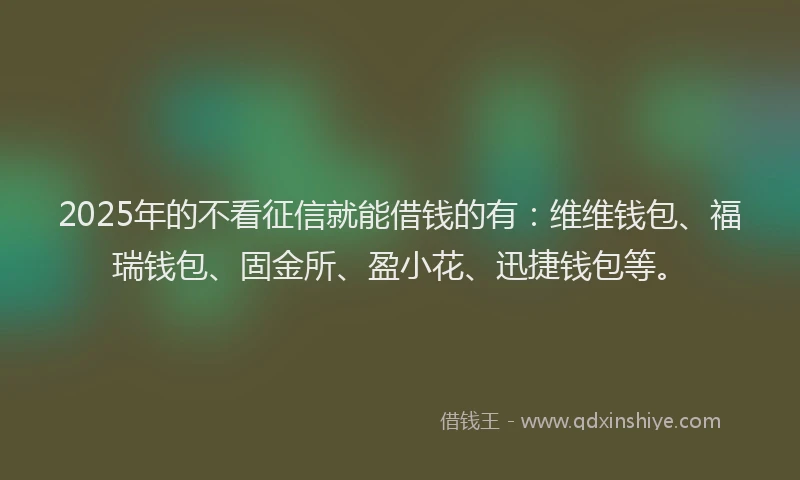 2025年的不看征信就能借钱的有：维维钱包、福瑞钱包、固金所、盈小花、迅捷钱包等。