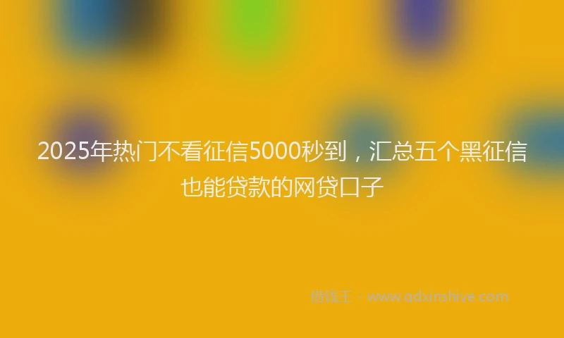 2025年热门不看征信5000秒到，汇总五个黑征信也能贷款的网贷口子
