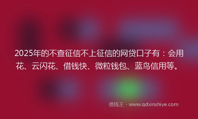 2025年的不查征信不上征信的网贷口子有：会用花、云闪花、借钱快、微粒钱包、蓝鸟信用等。