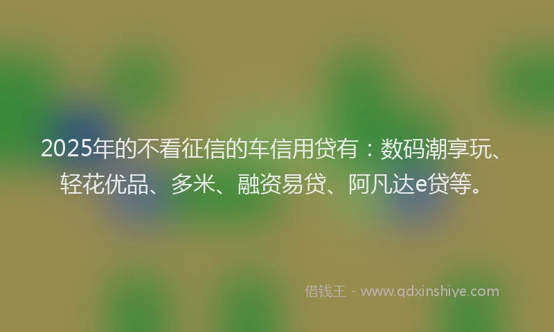 2025年的不看征信的车信用贷有：数码潮享玩、轻花优品、多米、融资易贷、阿凡达e贷等。