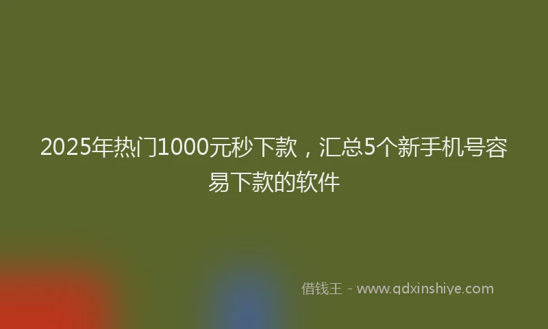 2025年热门1000元秒下款，汇总5个新手机号容易下款的软件