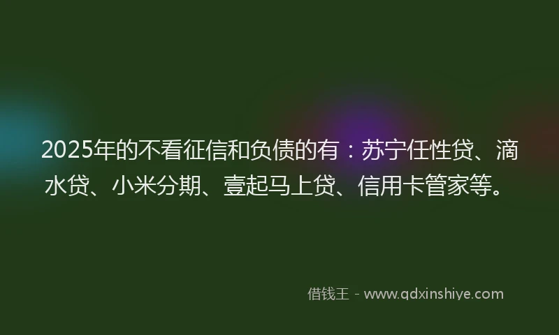 2025年的不看征信和负债的有：苏宁任性贷、滴水贷、小米分期、壹起马上贷、信用卡管家等。