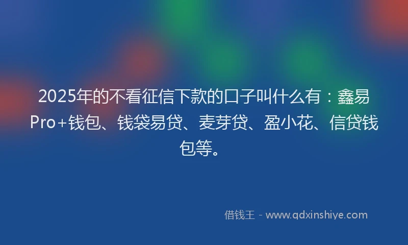 2025年的不看征信下款的口子叫什么有：鑫易Pro+钱包、钱袋易贷、麦芽贷、盈小花、信贷钱包等。