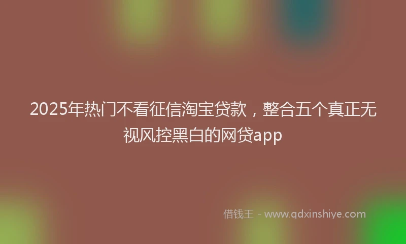 2025年热门不看征信淘宝贷款，整合五个真正无视风控黑白的网贷app