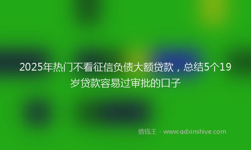 2025年热门不看征信负债大额贷款，总结5个19岁贷款容易过审批的口子