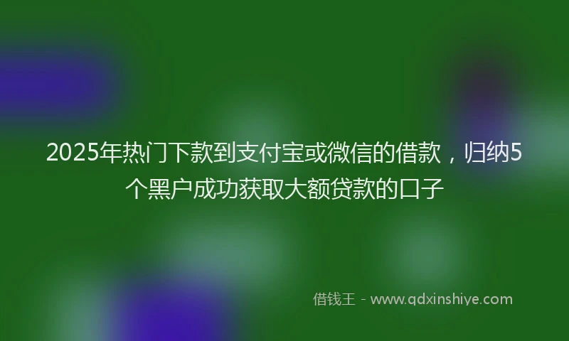 2025年热门下款到支付宝或微信的借款，归纳5个黑户成功获取大额贷款的口子