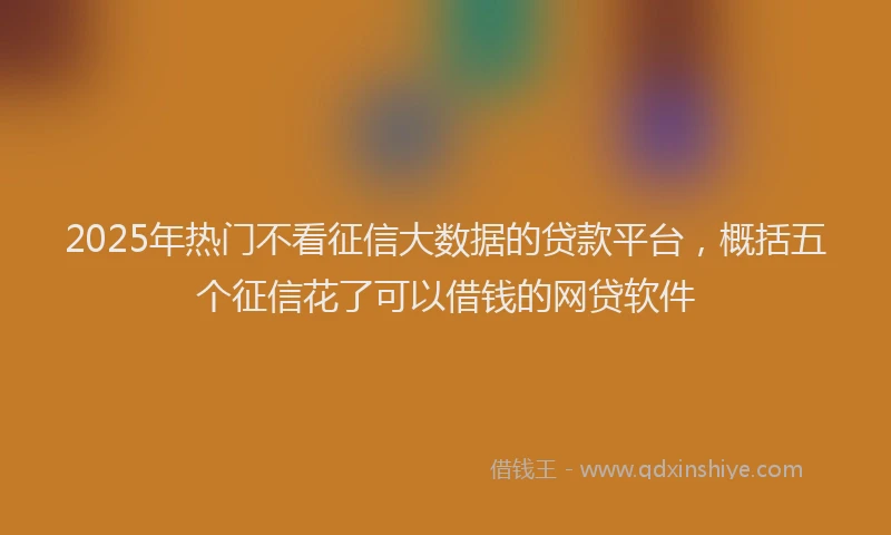 2025年热门不看征信大数据的贷款平台，概括五个征信花了可以借钱的网贷软件