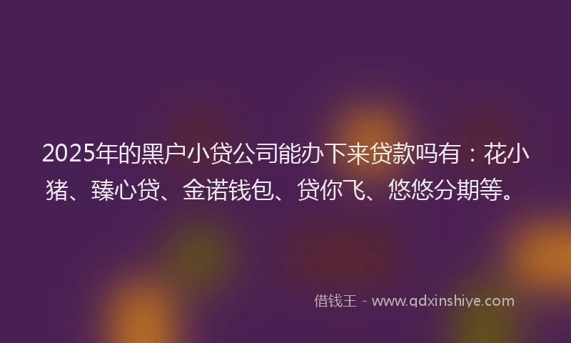 2025年的黑户小贷公司能办下来贷款吗有：花小猪、臻心贷、金诺钱包、贷你飞、悠悠分期等。